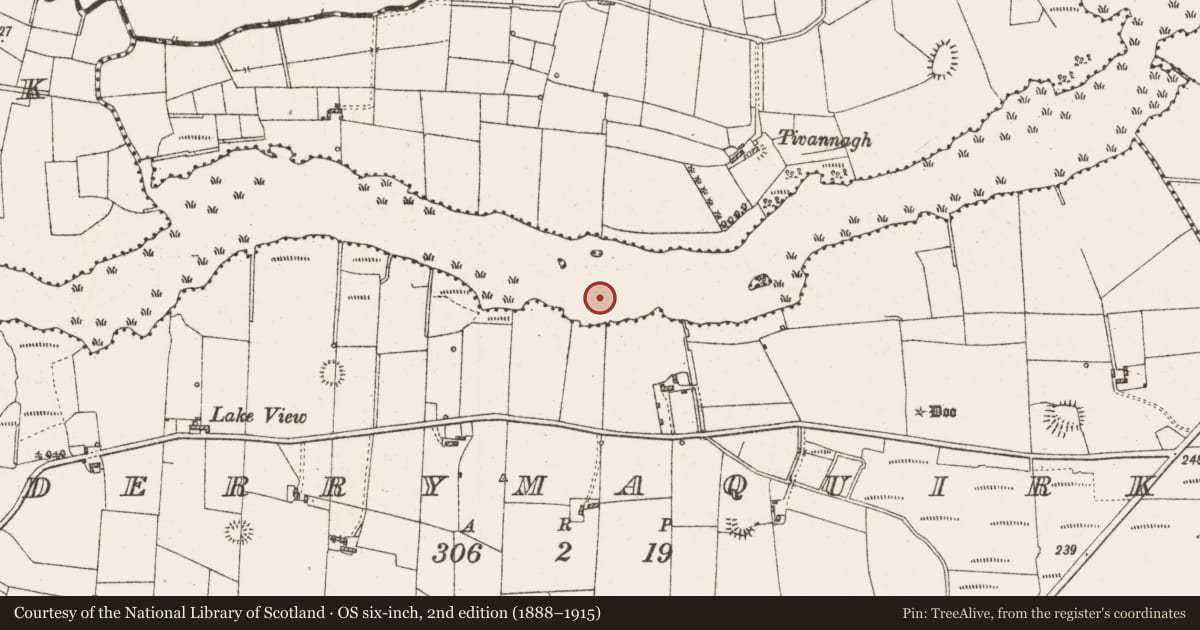 Ordnance Survey six-inch map, 2nd edition (1888–1915) covering the location of Settlement platform, Lough Gara, County Roscommon, with a pin at the register's coordinates