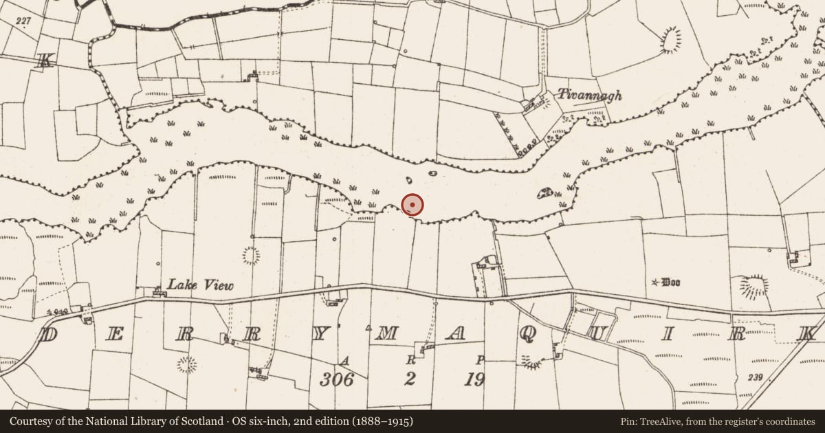 Ordnance Survey six-inch map, 2nd edition (1888–1915) covering the location of Settlement platform, Lough Gara, County Roscommon, with a pin at the register's coordinates