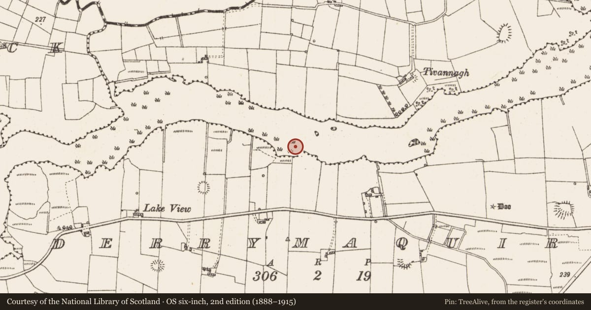 Ordnance Survey six-inch map, 2nd edition (1888–1915) covering the location of Settlement platform, Lough Gara, County Roscommon, with a pin at the register's coordinates