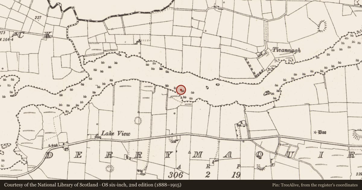 Ordnance Survey six-inch map, 2nd edition (1888–1915) covering the location of Settlement platform, Lough Gara, County Roscommon, with a pin at the register's coordinates