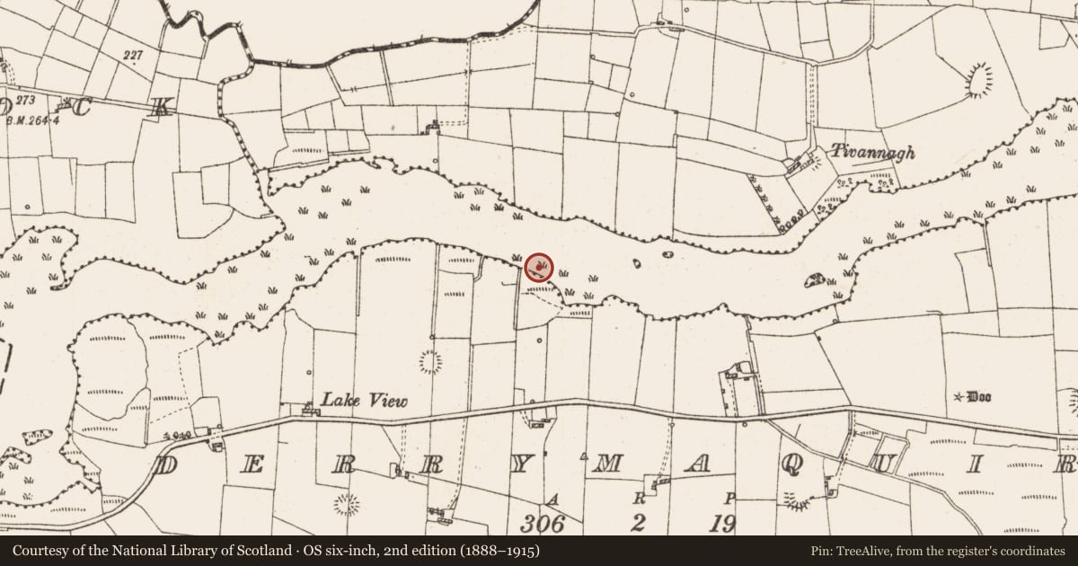 Ordnance Survey six-inch map, 2nd edition (1888–1915) covering the location of Settlement platform, Lough Gara, County Roscommon, with a pin at the register's coordinates