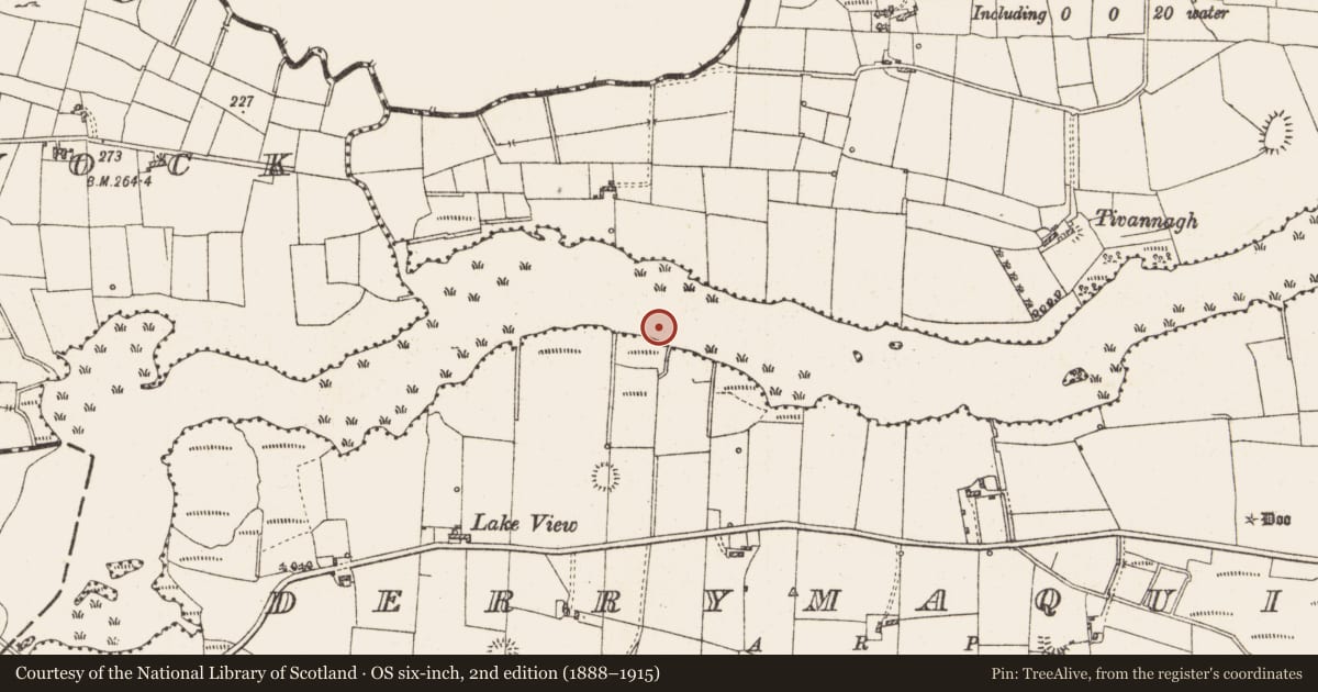 Ordnance Survey six-inch map, 2nd edition (1888–1915) covering the location of Settlement platform, Lough Gara, County Roscommon, with a pin at the register's coordinates