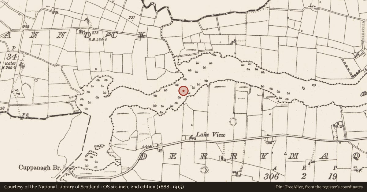 Ordnance Survey six-inch map, 2nd edition (1888–1915) covering the location of Settlement platform, Lough Gara, County Roscommon, with a pin at the register's coordinates