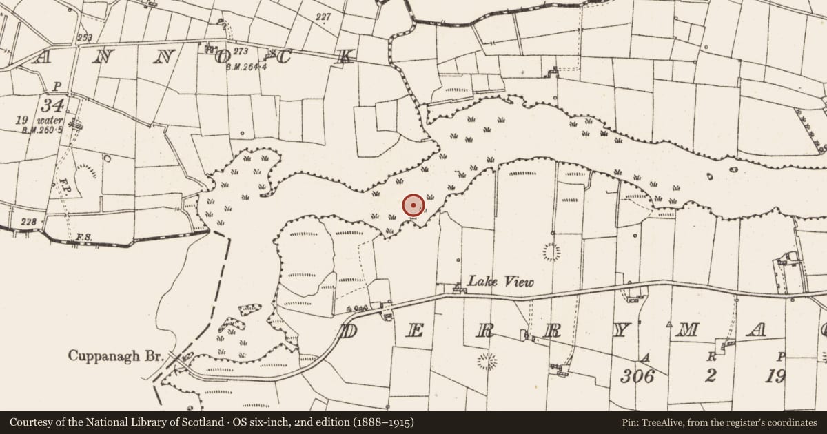 Ordnance Survey six-inch map, 2nd edition (1888–1915) covering the location of Settlement platform, Lough Gara, County Roscommon, with a pin at the register's coordinates