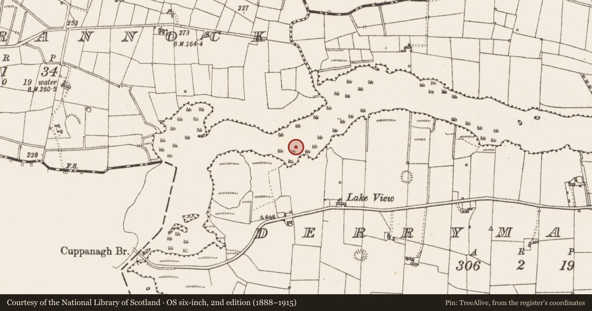 Ordnance Survey six-inch map, 2nd edition (1888–1915) covering the location of Settlement platform, Lough Gara, County Roscommon, with a pin at the register's coordinates