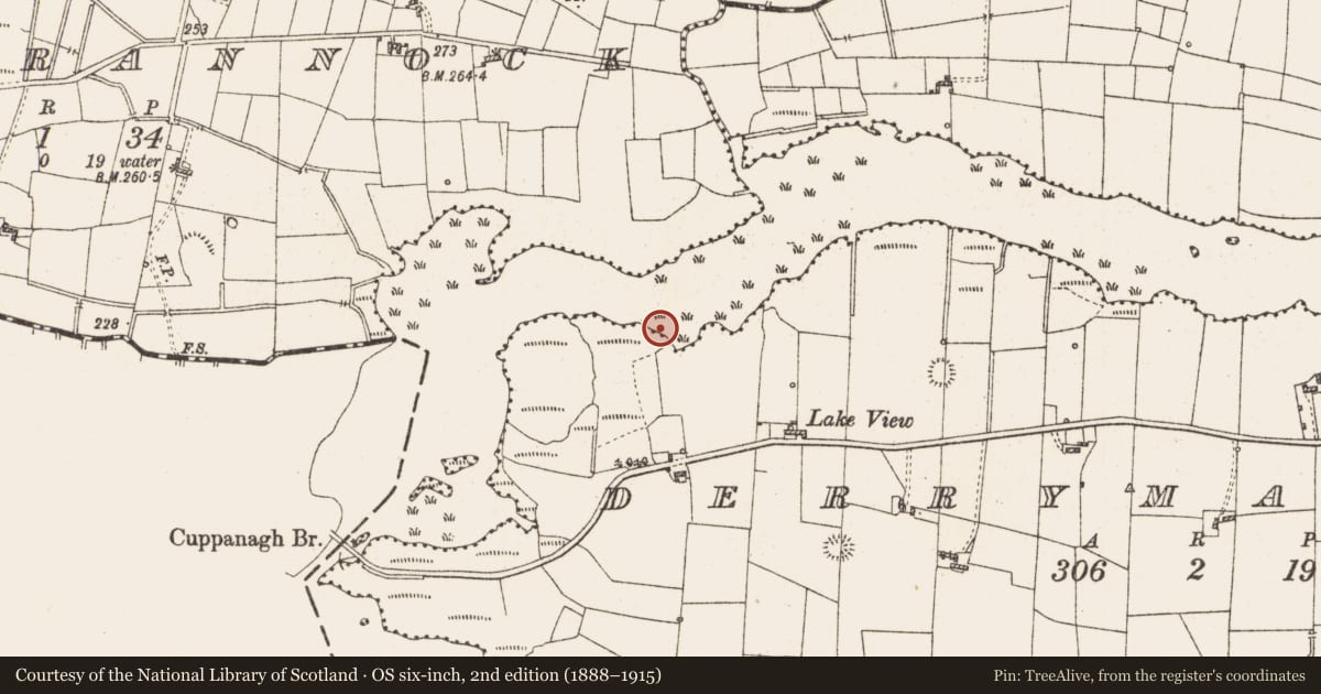 Ordnance Survey six-inch map, 2nd edition (1888–1915) covering the location of Settlement platform, Lough Gara, County Roscommon, with a pin at the register's coordinates