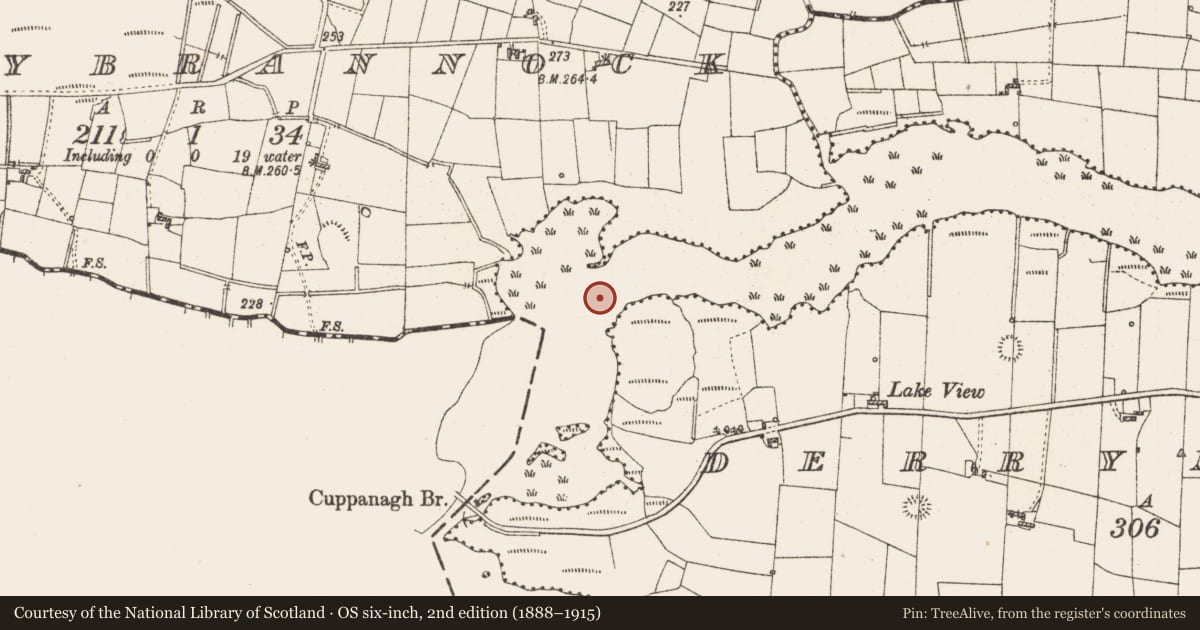 Ordnance Survey six-inch map, 2nd edition (1888–1915) covering the location of Settlement platform, Lough Gara, County Roscommon, with a pin at the register's coordinates