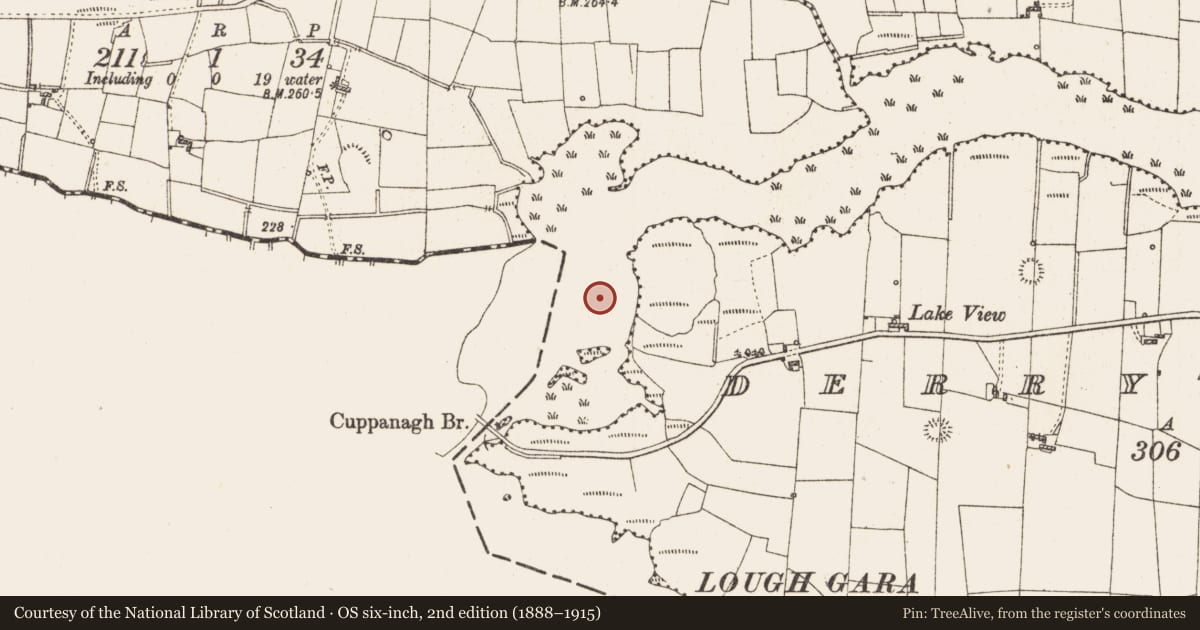 Ordnance Survey six-inch map, 2nd edition (1888–1915) covering the location of Settlement platform, Lough Gara, County Roscommon, with a pin at the register's coordinates