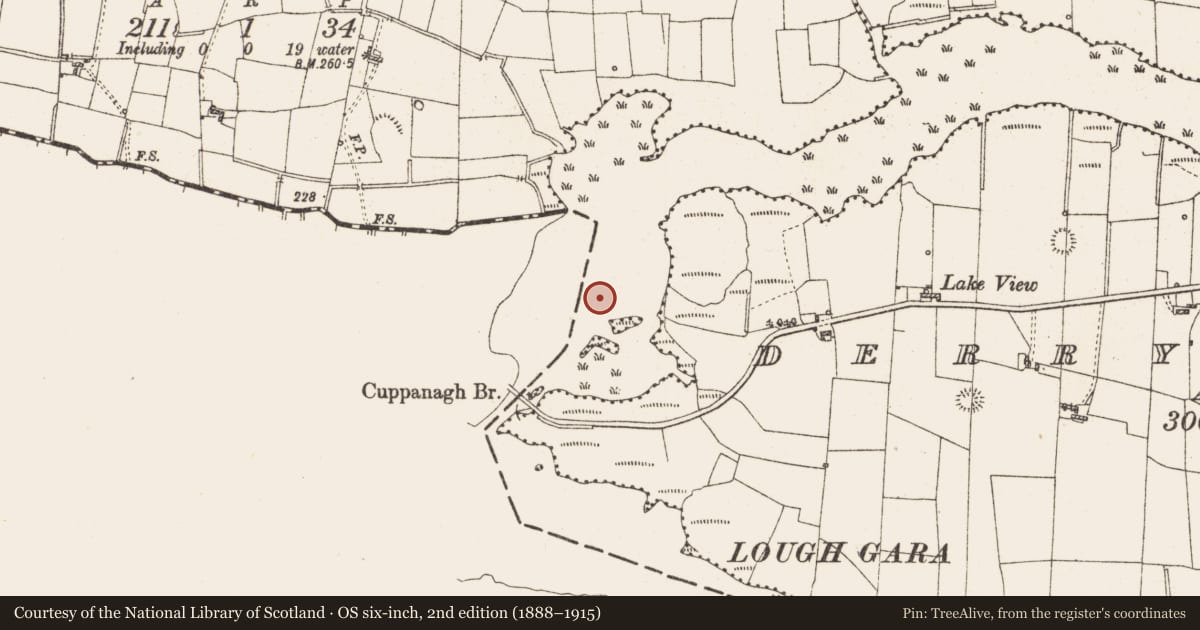 Ordnance Survey six-inch map, 2nd edition (1888–1915) covering the location of Settlement platform, Lough Gara, County Roscommon, with a pin at the register's coordinates