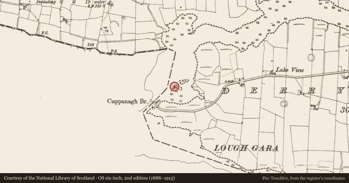 Ordnance Survey six-inch map, 2nd edition (1888–1915) covering the location of Crannog, Lough Gara, County Roscommon, with a pin at the register's coordinates