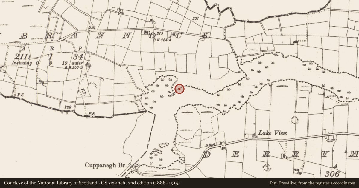 Ordnance Survey six-inch map, 2nd edition (1888–1915) covering the location of Settlement platform, Lough Gara, County Roscommon, with a pin at the register's coordinates