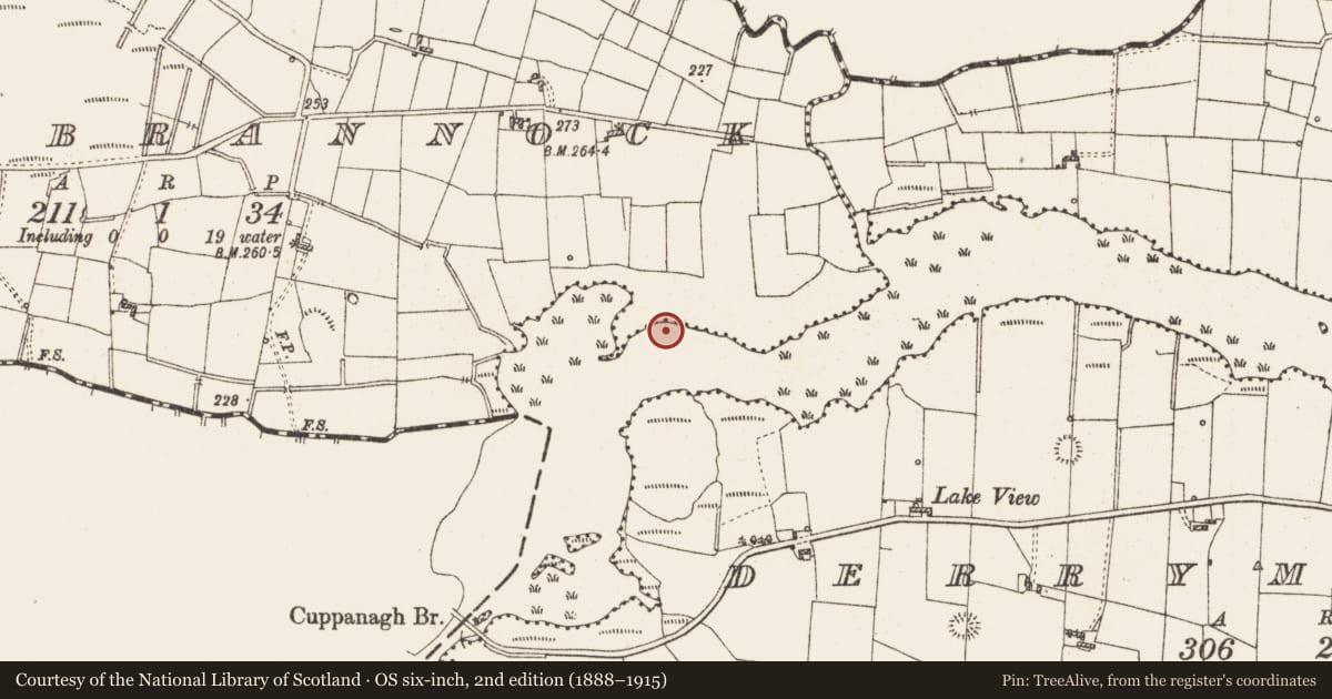 Ordnance Survey six-inch map, 2nd edition (1888–1915) covering the location of Settlement platform, Lough Gara, County Roscommon, with a pin at the register's coordinates