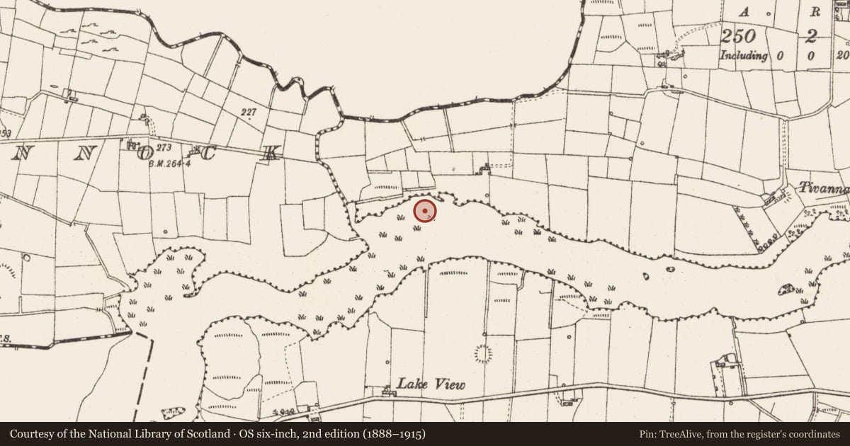 Ordnance Survey six-inch map, 2nd edition (1888–1915) covering the location of Settlement platform, Lough Gara, County Roscommon, with a pin at the register's coordinates