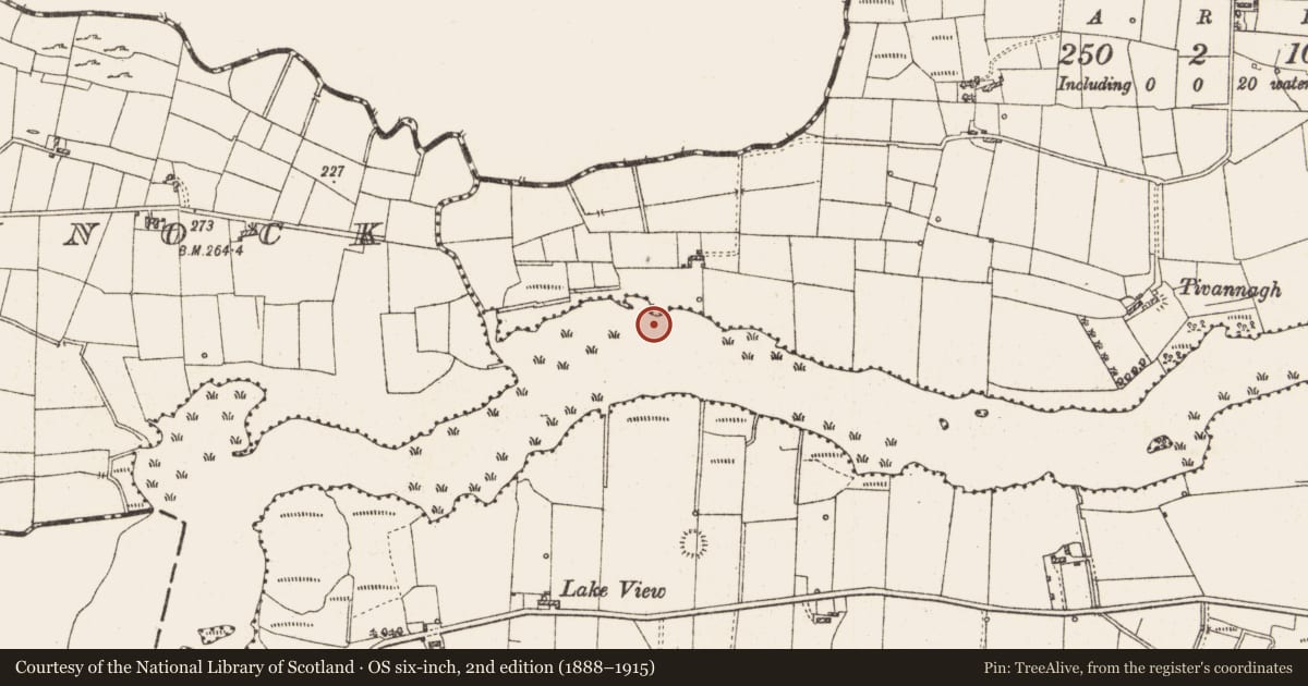 Ordnance Survey six-inch map, 2nd edition (1888–1915) covering the location of Settlement platform, Lough Gara, County Roscommon, with a pin at the register's coordinates