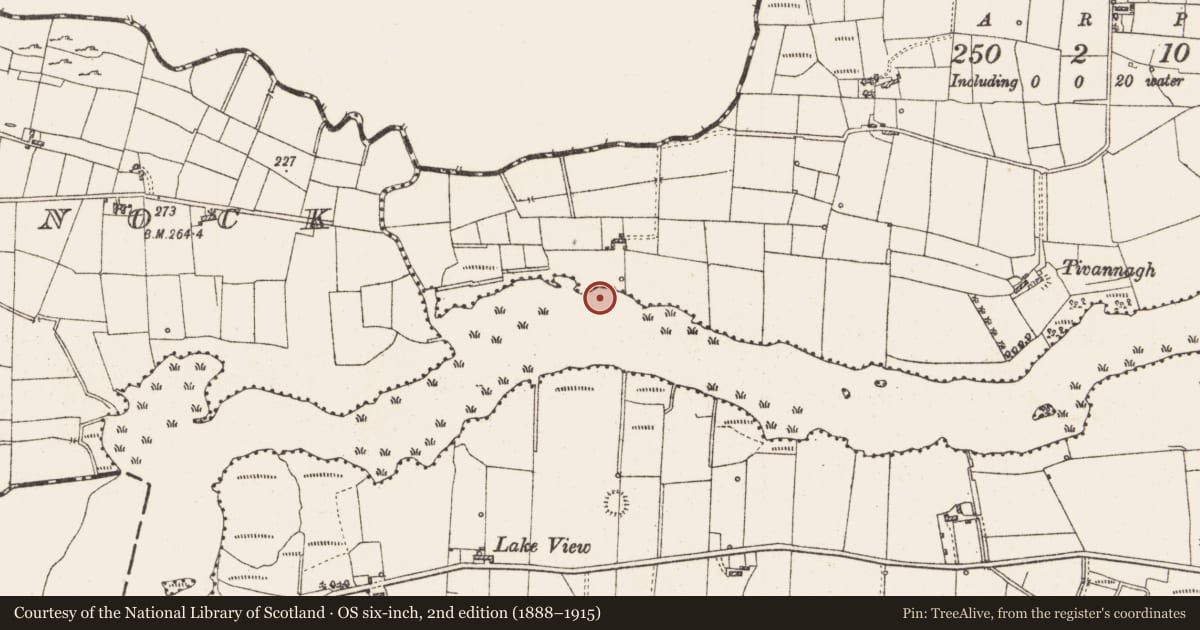 Ordnance Survey six-inch map, 2nd edition (1888–1915) covering the location of Settlement platform, Lough Gara, County Roscommon, with a pin at the register's coordinates