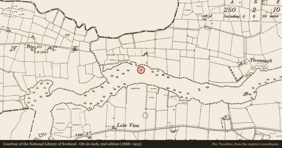 Ordnance Survey six-inch map, 2nd edition (1888–1915) covering the location of Settlement platform, Lough Gara, County Roscommon, with a pin at the register's coordinates
