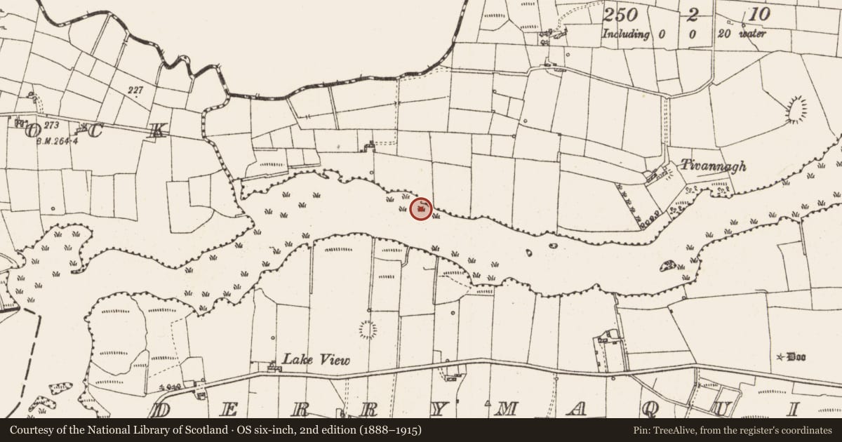 Ordnance Survey six-inch map, 2nd edition (1888–1915) covering the location of Settlement platform, Lough Gara, County Roscommon, with a pin at the register's coordinates