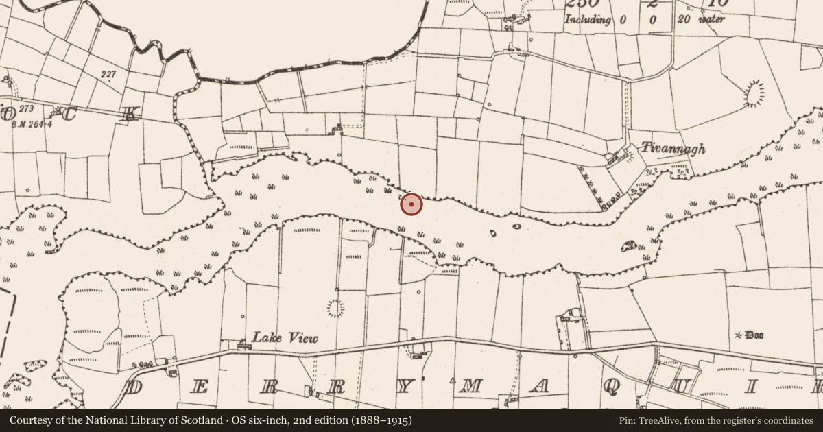 Ordnance Survey six-inch map, 2nd edition (1888–1915) covering the location of Settlement platform, Lough Gara, County Roscommon, with a pin at the register's coordinates