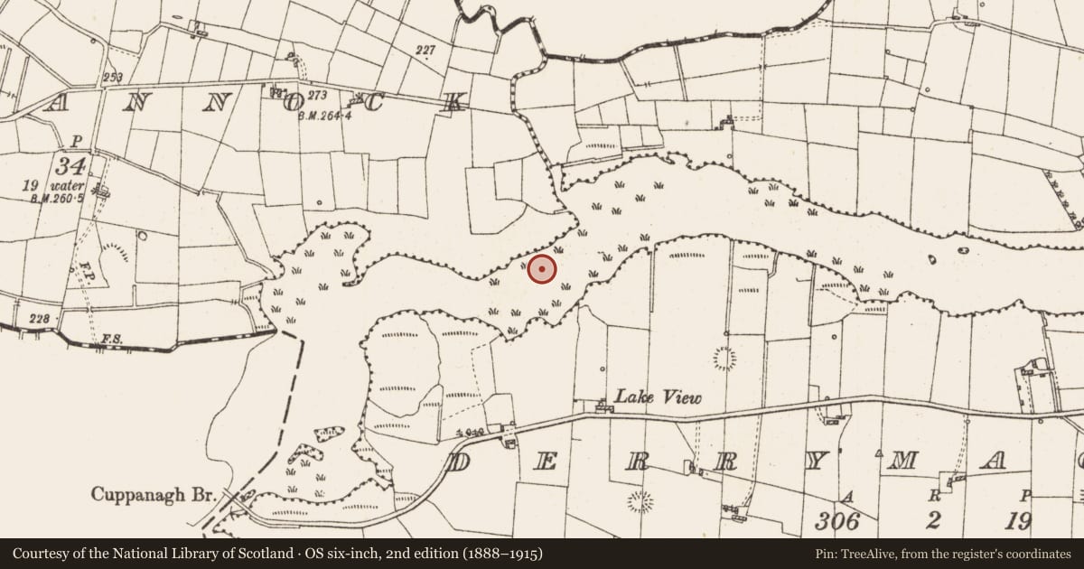 Ordnance Survey six-inch map, 2nd edition (1888–1915) covering the location of Settlement platform, Lough Gara, County Roscommon, with a pin at the register's coordinates