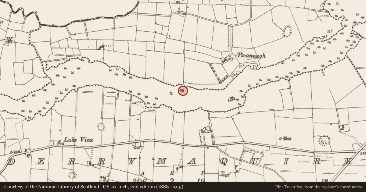 Ordnance Survey six-inch map, 2nd edition (1888–1915) covering the location of Settlement platform, Lough Gara, County Roscommon, with a pin at the register's coordinates