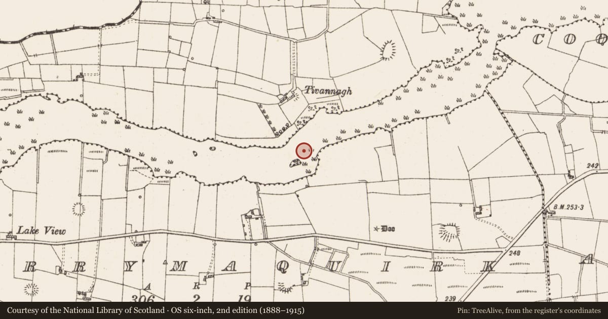 Ordnance Survey six-inch map, 2nd edition (1888–1915) covering the location of Settlement platform, Lough Gara, County Roscommon, with a pin at the register's coordinates