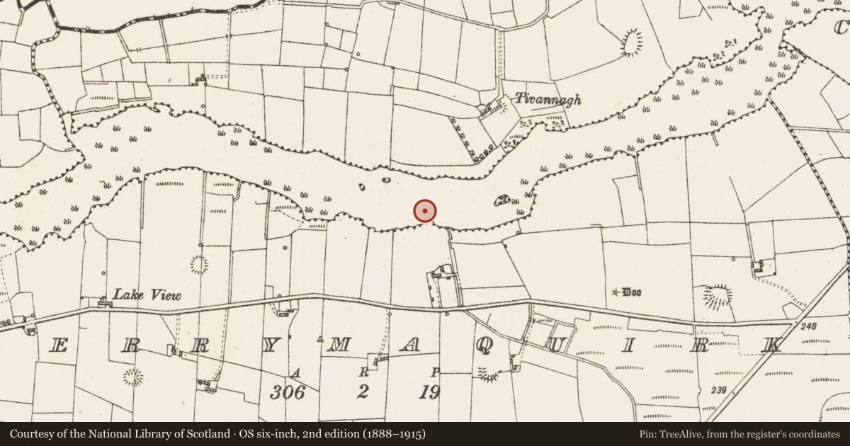 Ordnance Survey six-inch map, 2nd edition (1888–1915) covering the location of Settlement platform, Lough Gara, County Roscommon, with a pin at the register's coordinates