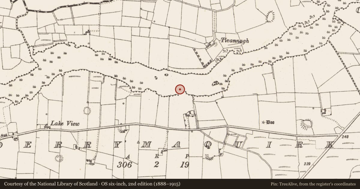 Ordnance Survey six-inch map, 2nd edition (1888–1915) covering the location of Settlement platform, Lough Gara, County Roscommon, with a pin at the register's coordinates
