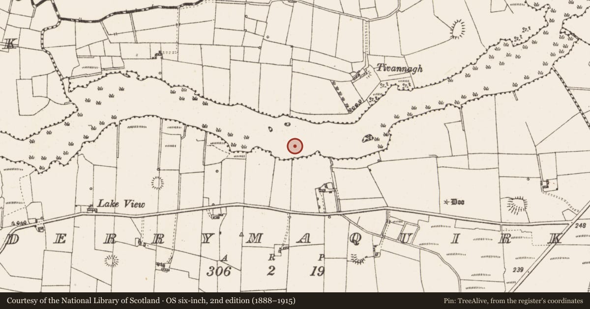 Ordnance Survey six-inch map, 2nd edition (1888–1915) covering the location of Settlement platform, Lough Gara, County Roscommon, with a pin at the register's coordinates