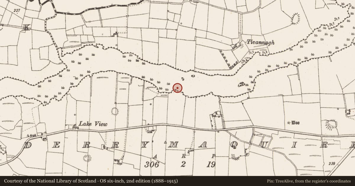 Ordnance Survey six-inch map, 2nd edition (1888–1915) covering the location of Settlement platform, Lough Gara, County Roscommon, with a pin at the register's coordinates