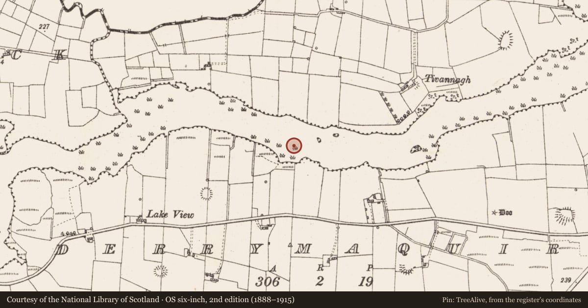Ordnance Survey six-inch map, 2nd edition (1888–1915) covering the location of Settlement platform, Lough Gara, County Roscommon, with a pin at the register's coordinates