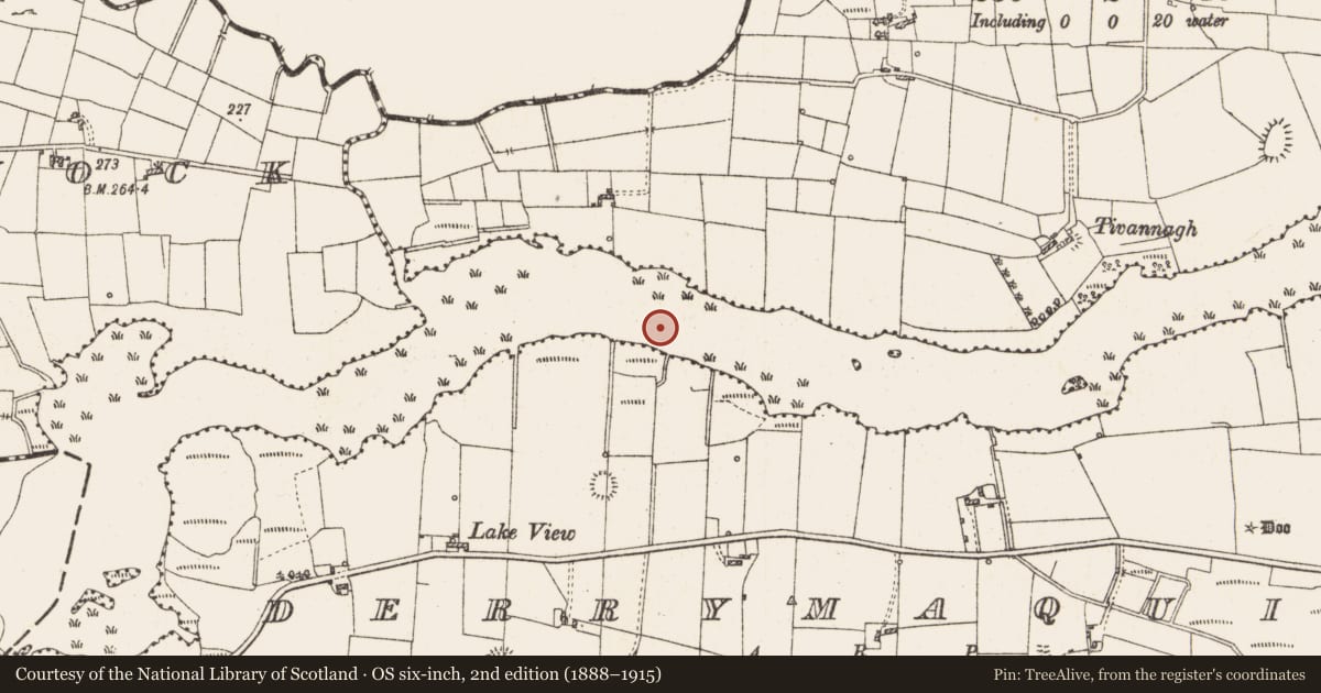 Ordnance Survey six-inch map, 2nd edition (1888–1915) covering the location of Settlement platform, Lough Gara, County Roscommon, with a pin at the register's coordinates