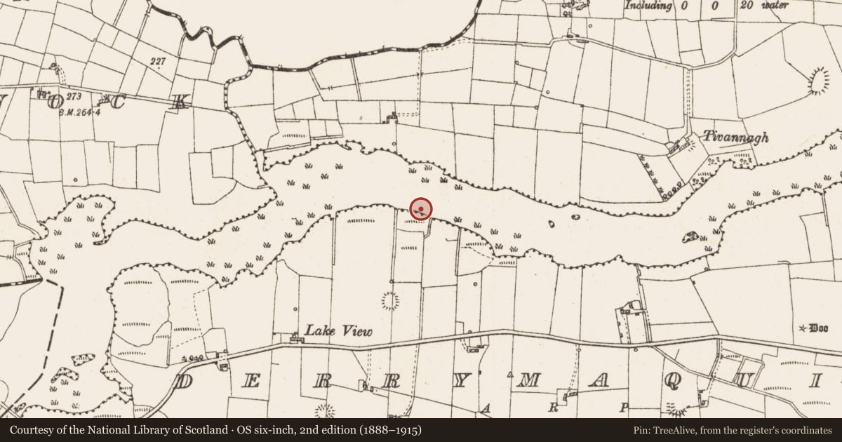 Ordnance Survey six-inch map, 2nd edition (1888–1915) covering the location of Settlement platform, Lough Gara, County Roscommon, with a pin at the register's coordinates