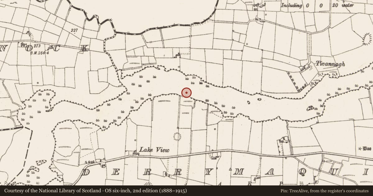Ordnance Survey six-inch map, 2nd edition (1888–1915) covering the location of Settlement platform, Lough Gara, County Roscommon, with a pin at the register's coordinates