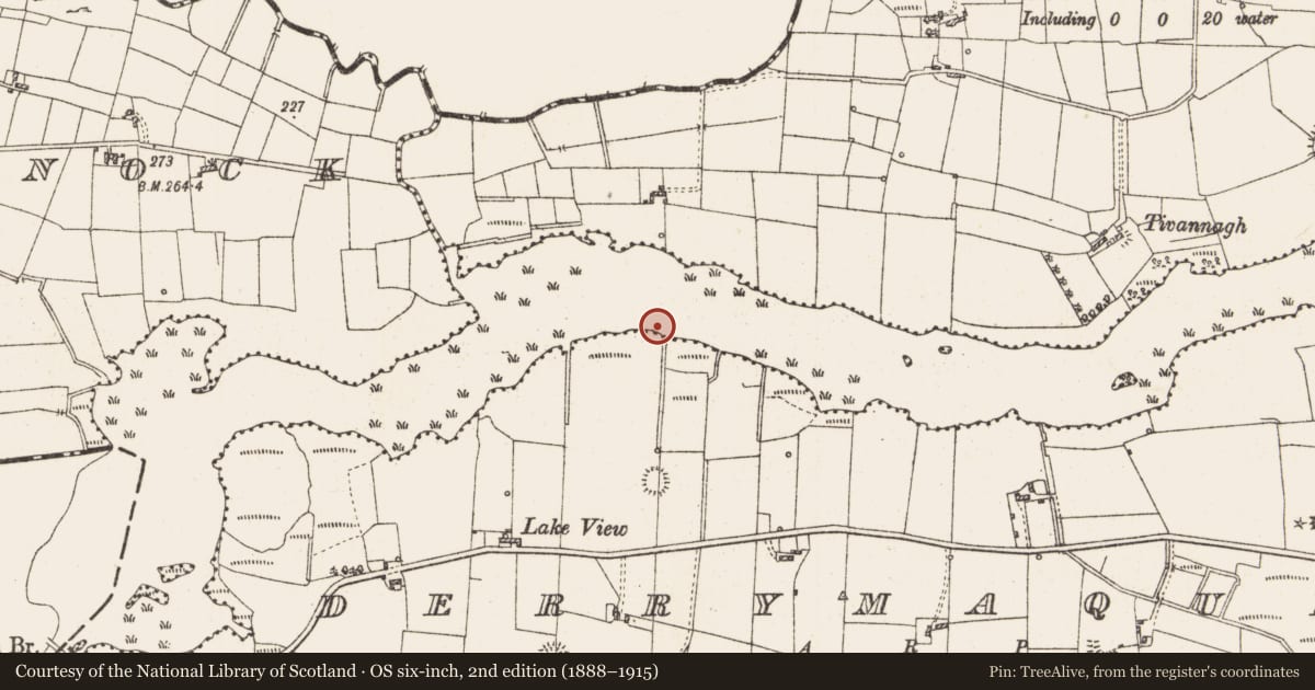 Ordnance Survey six-inch map, 2nd edition (1888–1915) covering the location of Platform - peatland, Lough Gara, County Roscommon, with a pin at the register's coordinates