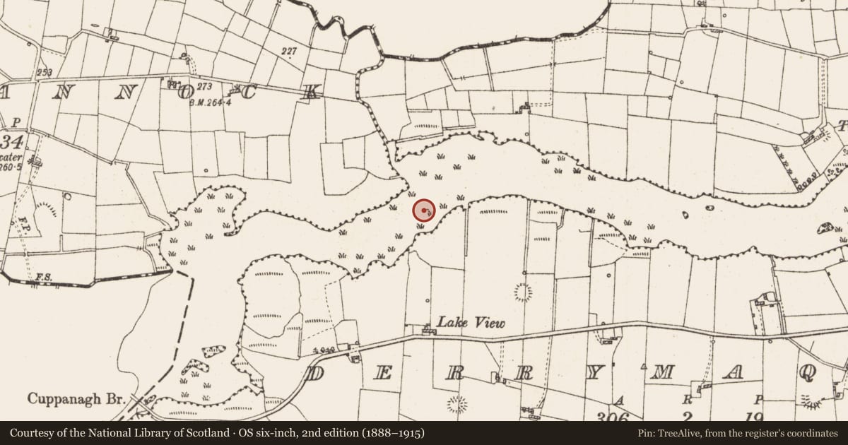 Ordnance Survey six-inch map, 2nd edition (1888–1915) covering the location of Settlement platform, Lough Gara, County Roscommon, with a pin at the register's coordinates