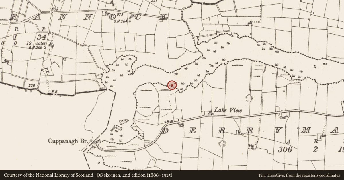 Ordnance Survey six-inch map, 2nd edition (1888–1915) covering the location of Settlement platform, Lough Gara, County Roscommon, with a pin at the register's coordinates