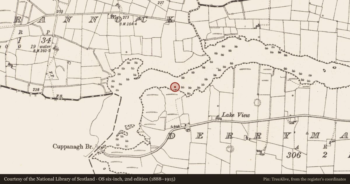 Ordnance Survey six-inch map, 2nd edition (1888–1915) covering the location of Settlement platform, Lough Gara, County Roscommon, with a pin at the register's coordinates
