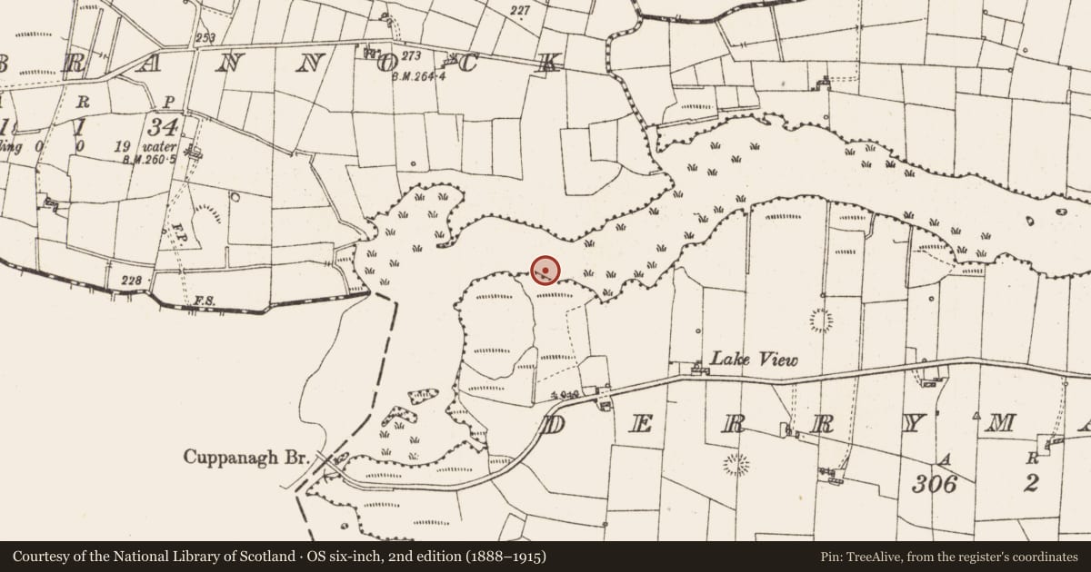 Ordnance Survey six-inch map, 2nd edition (1888–1915) covering the location of Settlement platform, Lough Gara, County Roscommon, with a pin at the register's coordinates
