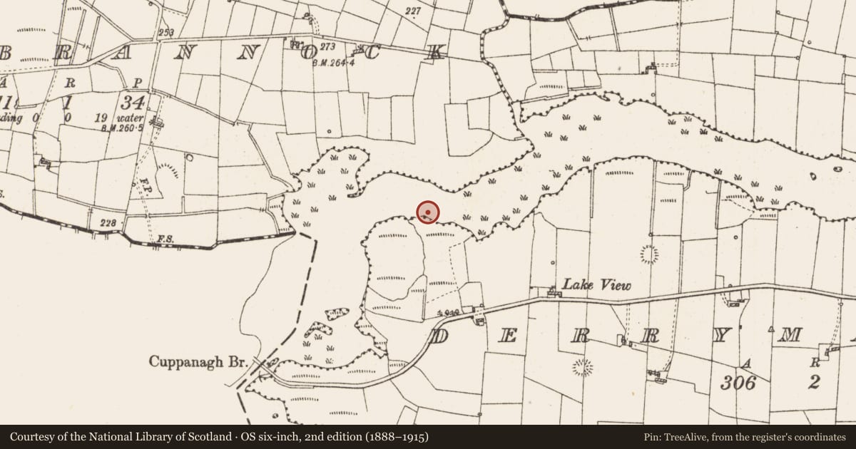 Ordnance Survey six-inch map, 2nd edition (1888–1915) covering the location of Settlement platform, Lough Gara, County Roscommon, with a pin at the register's coordinates