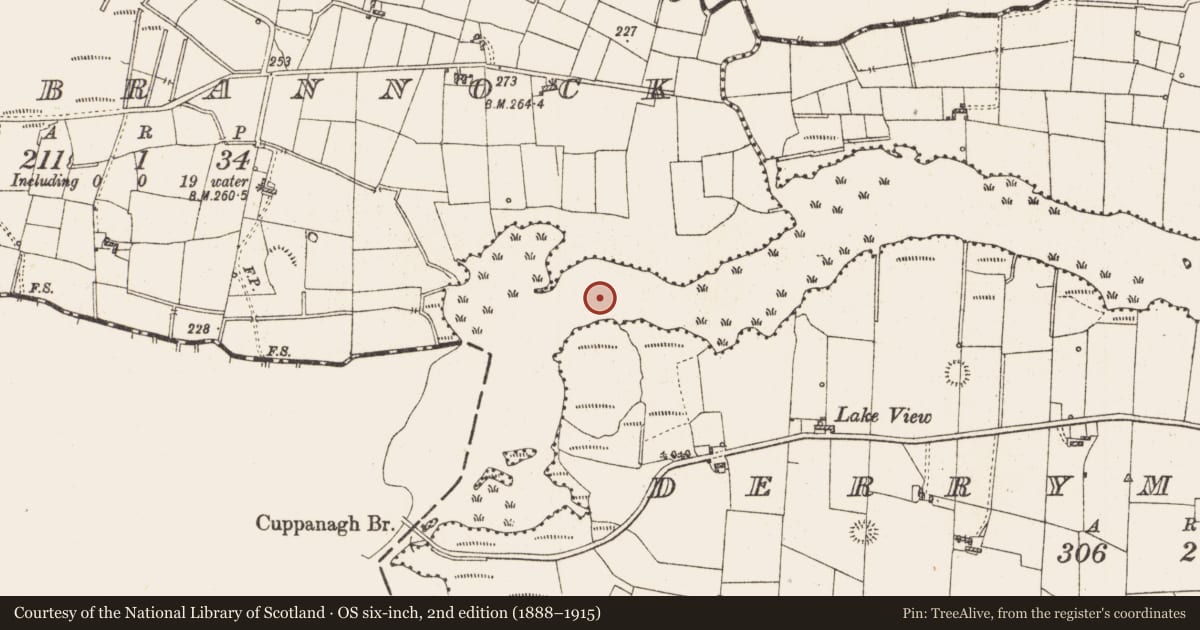 Ordnance Survey six-inch map, 2nd edition (1888–1915) covering the location of Settlement platform, Lough Gara, County Roscommon, with a pin at the register's coordinates