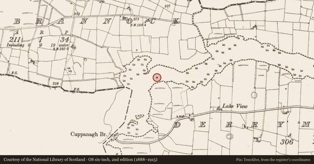 Ordnance Survey six-inch map, 2nd edition (1888–1915) covering the location of Settlement platform, Lough Gara, County Roscommon, with a pin at the register's coordinates