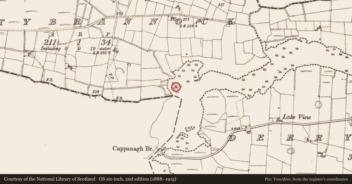 Ordnance Survey six-inch map, 2nd edition (1888–1915) covering the location of Settlement platform, Lough Gara, County Roscommon, with a pin at the register's coordinates