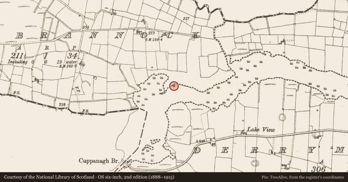 Ordnance Survey six-inch map, 2nd edition (1888–1915) covering the location of Settlement platform, Lough Gara, County Roscommon, with a pin at the register's coordinates