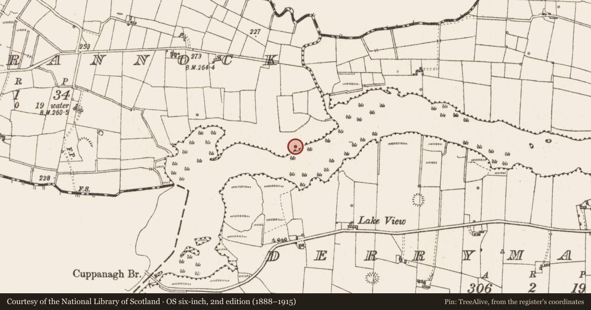 Ordnance Survey six-inch map, 2nd edition (1888–1915) covering the location of Crannog, Lough Gara, County Roscommon, with a pin at the register's coordinates
