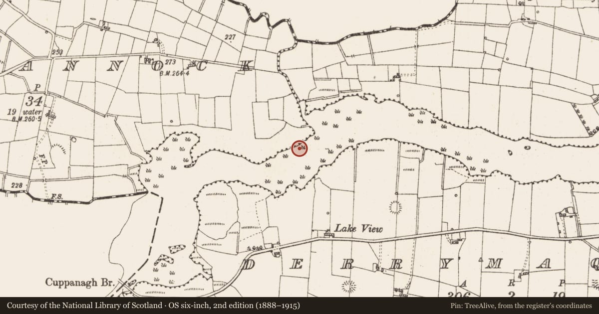 Ordnance Survey six-inch map, 2nd edition (1888–1915) covering the location of Settlement platform, Lough Gara, County Roscommon, with a pin at the register's coordinates
