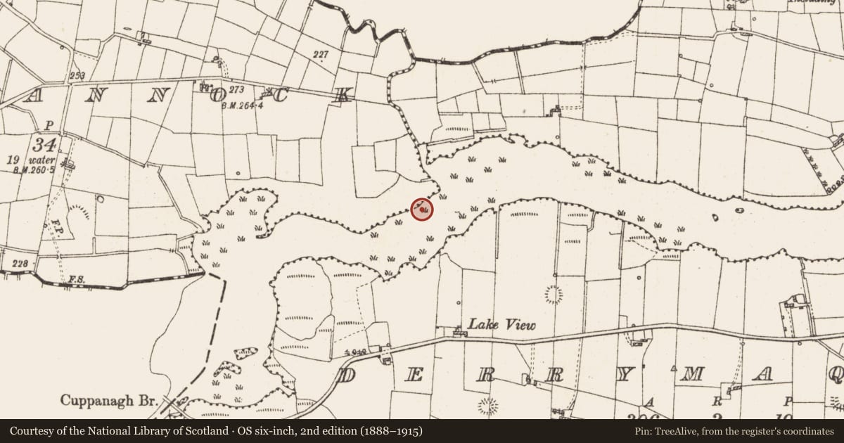 Ordnance Survey six-inch map, 2nd edition (1888–1915) covering the location of Settlement platform, Lough Gara, County Roscommon, with a pin at the register's coordinates