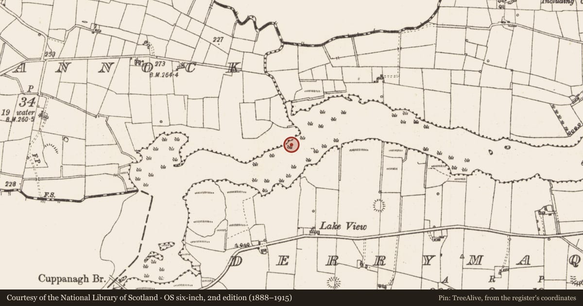 Ordnance Survey six-inch map, 2nd edition (1888–1915) covering the location of Settlement platform, Lough Gara, County Roscommon, with a pin at the register's coordinates