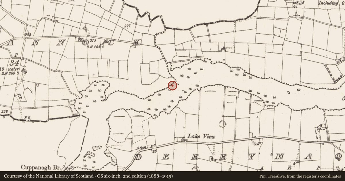 Ordnance Survey six-inch map, 2nd edition (1888–1915) covering the location of Settlement platform, Lough Gara, County Roscommon, with a pin at the register's coordinates
