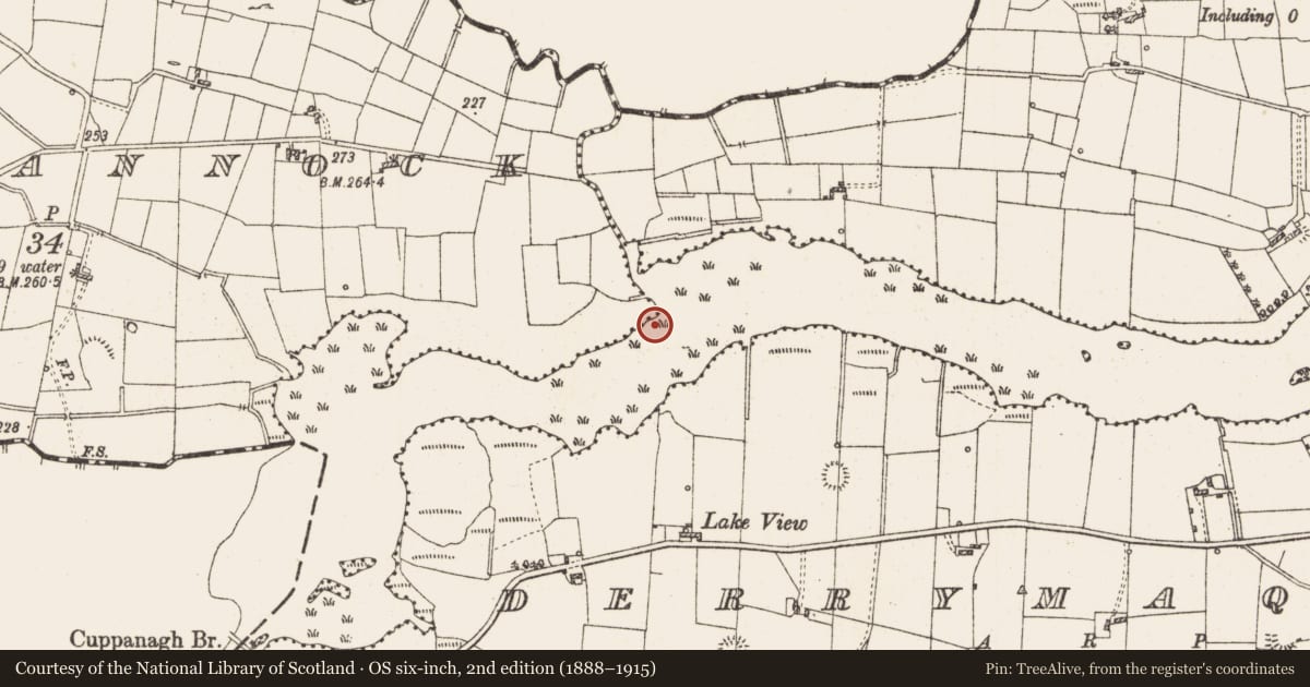 Ordnance Survey six-inch map, 2nd edition (1888–1915) covering the location of Settlement platform, Lough Gara, County Roscommon, with a pin at the register's coordinates