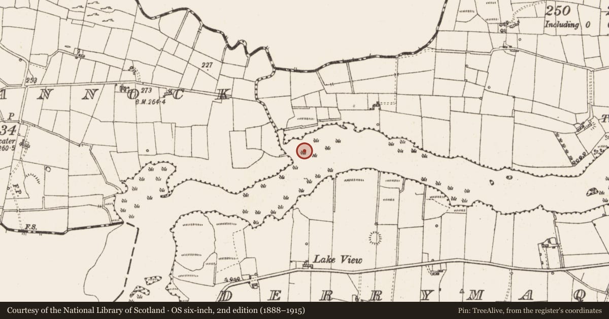 Ordnance Survey six-inch map, 2nd edition (1888–1915) covering the location of Settlement platform, Lough Gara, County Roscommon, with a pin at the register's coordinates